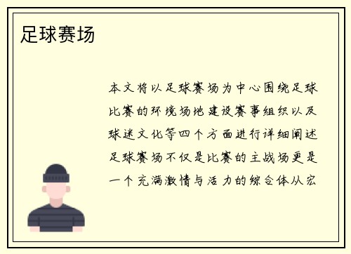 足球赛场